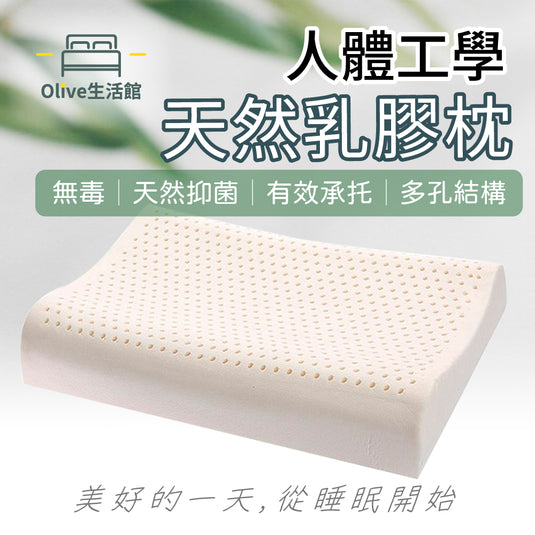 頂級特大型乳膠枕系列-人體工學(1入)